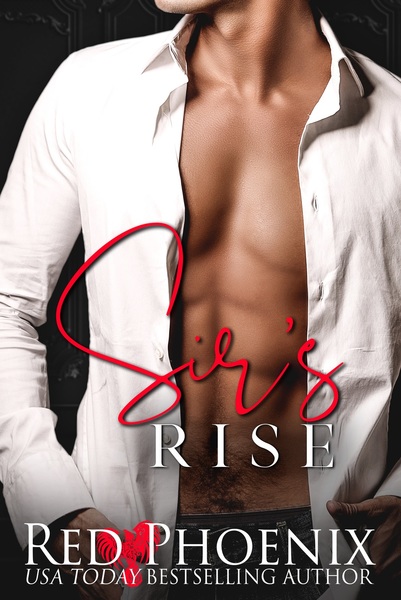 Rise of the Dominants book cover 1