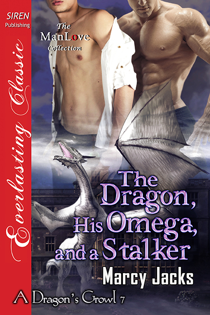 The Dragon, His Omega, and a Stalker book cover