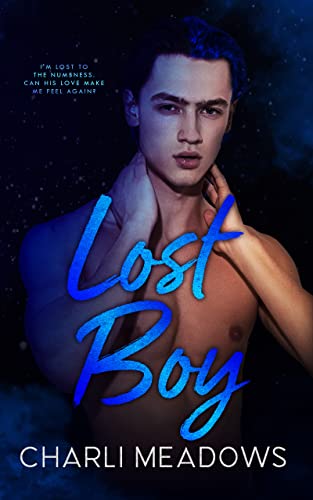 The Loyal Boys book cover 3