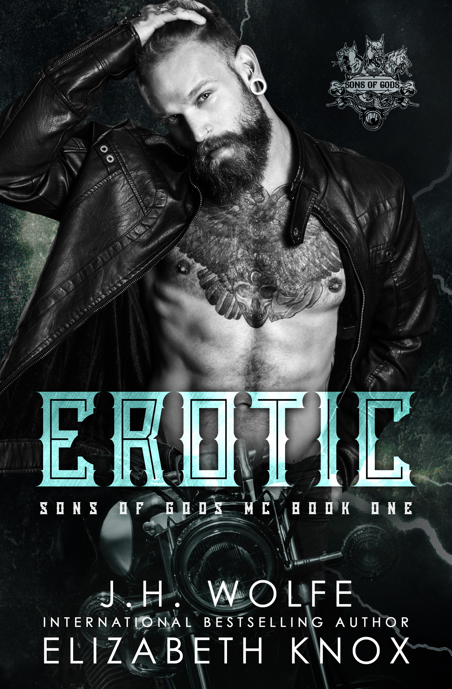Sons of Gods MC book cover 1