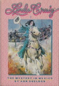 The Mystery in Mexico book cover