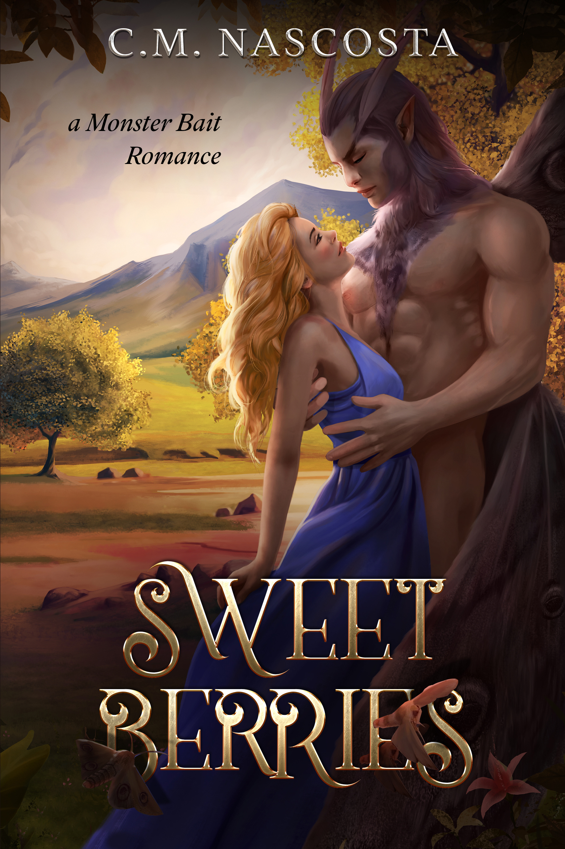 Cambric Creek book cover 2