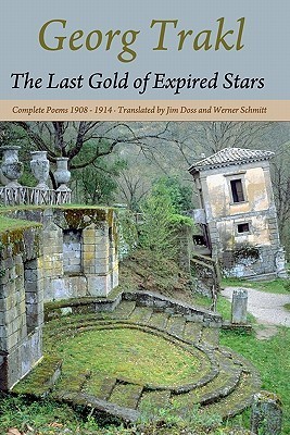 The Last Gold of Expired Stars book cover