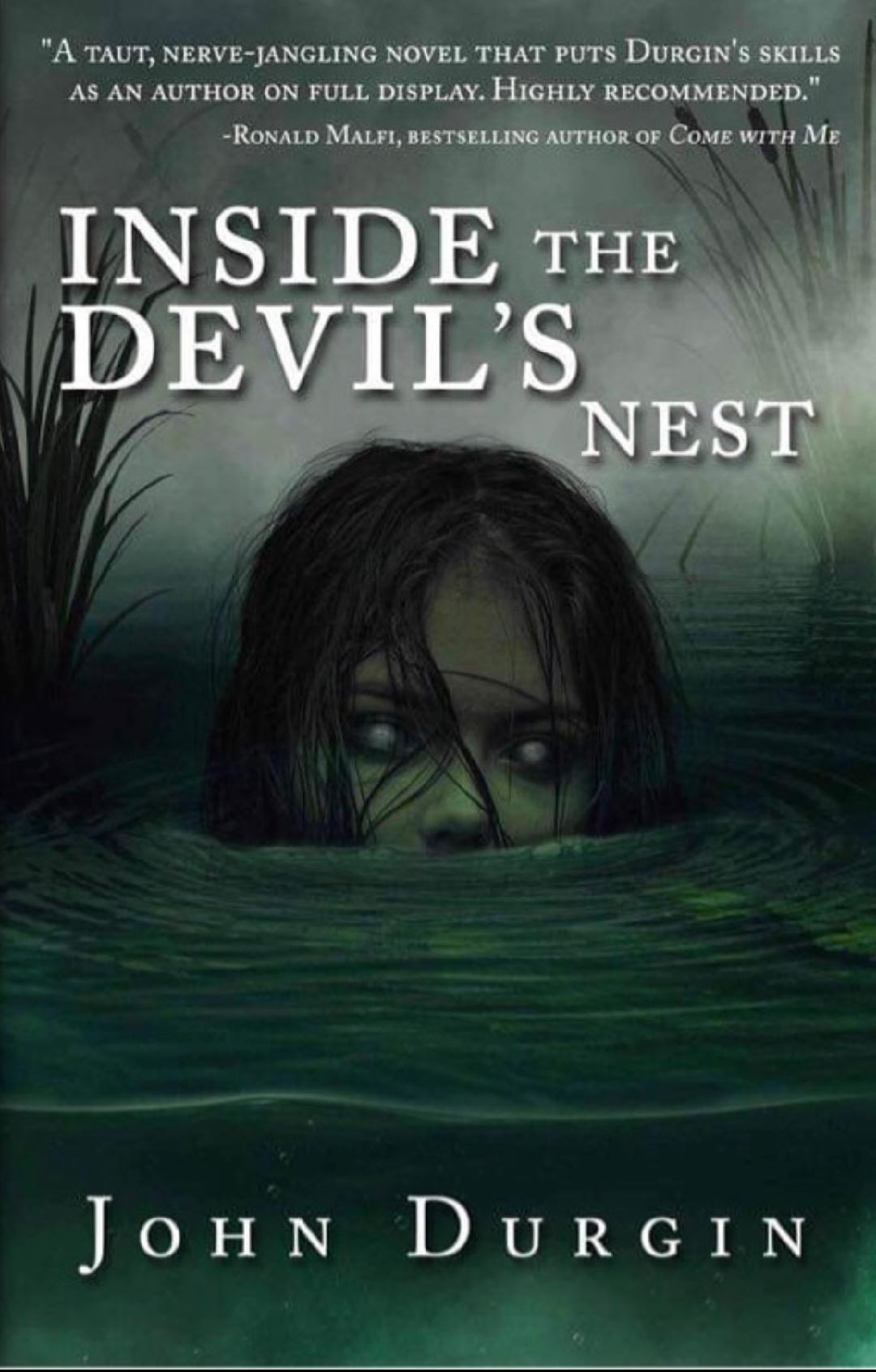 Inside The Devil's Nest book cover