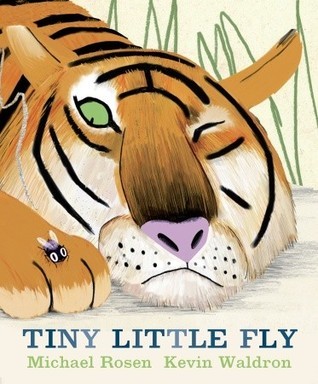 Tiny Little Fly book cover