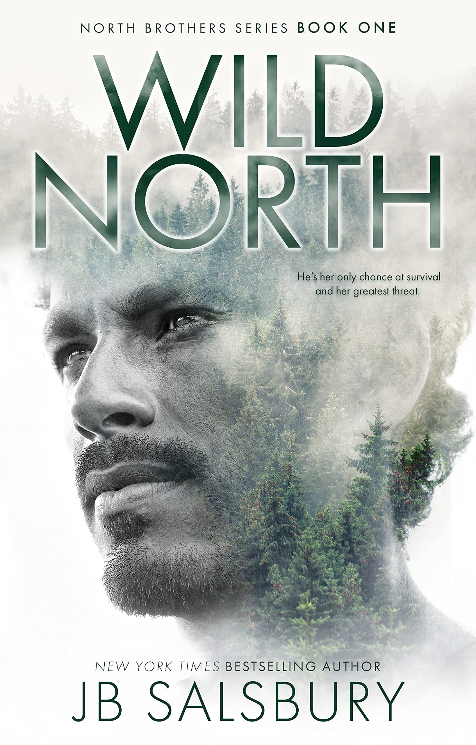The North Brothers book cover 1