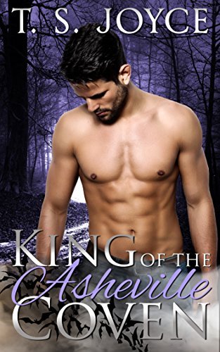 Winterset Coven book cover 1