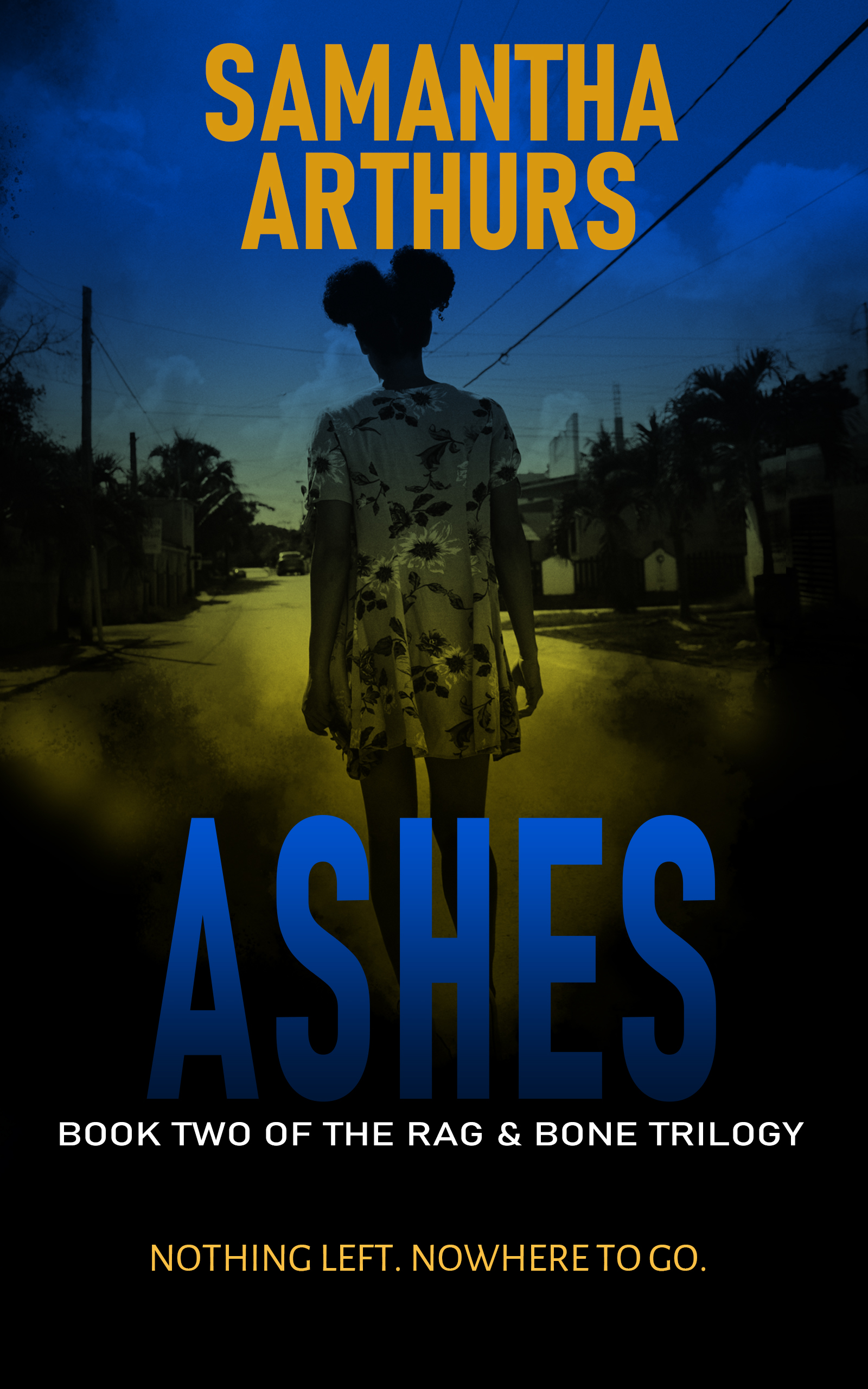 Ashes book cover