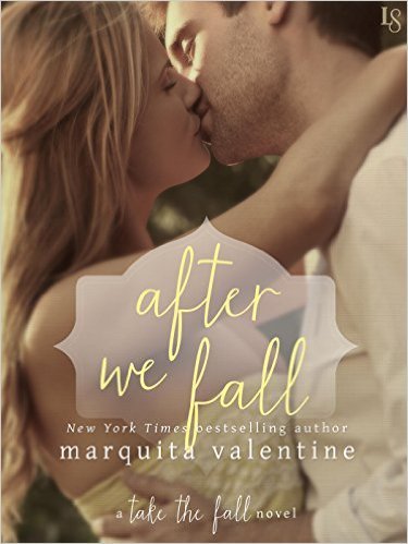 Take the Fall book cover 3