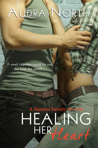 Stanton Family book cover 3