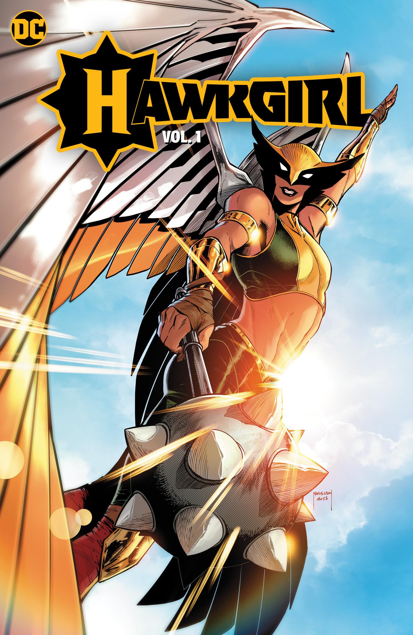 Hawkgirl book cover