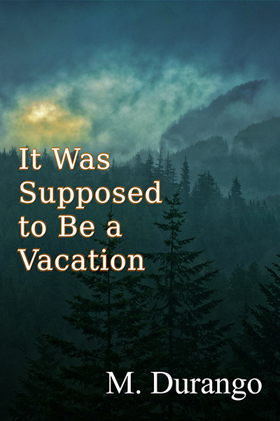 It Was Supposed to Be a Vacation book cover