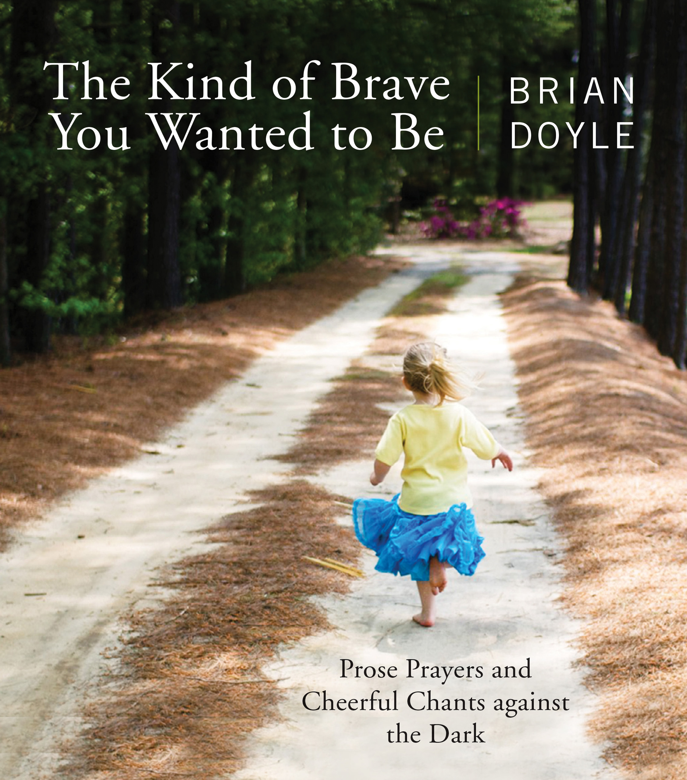 The Kind of Brave You Wanted to Be book cover