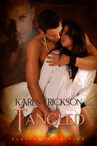 Playing With Fire book cover 2