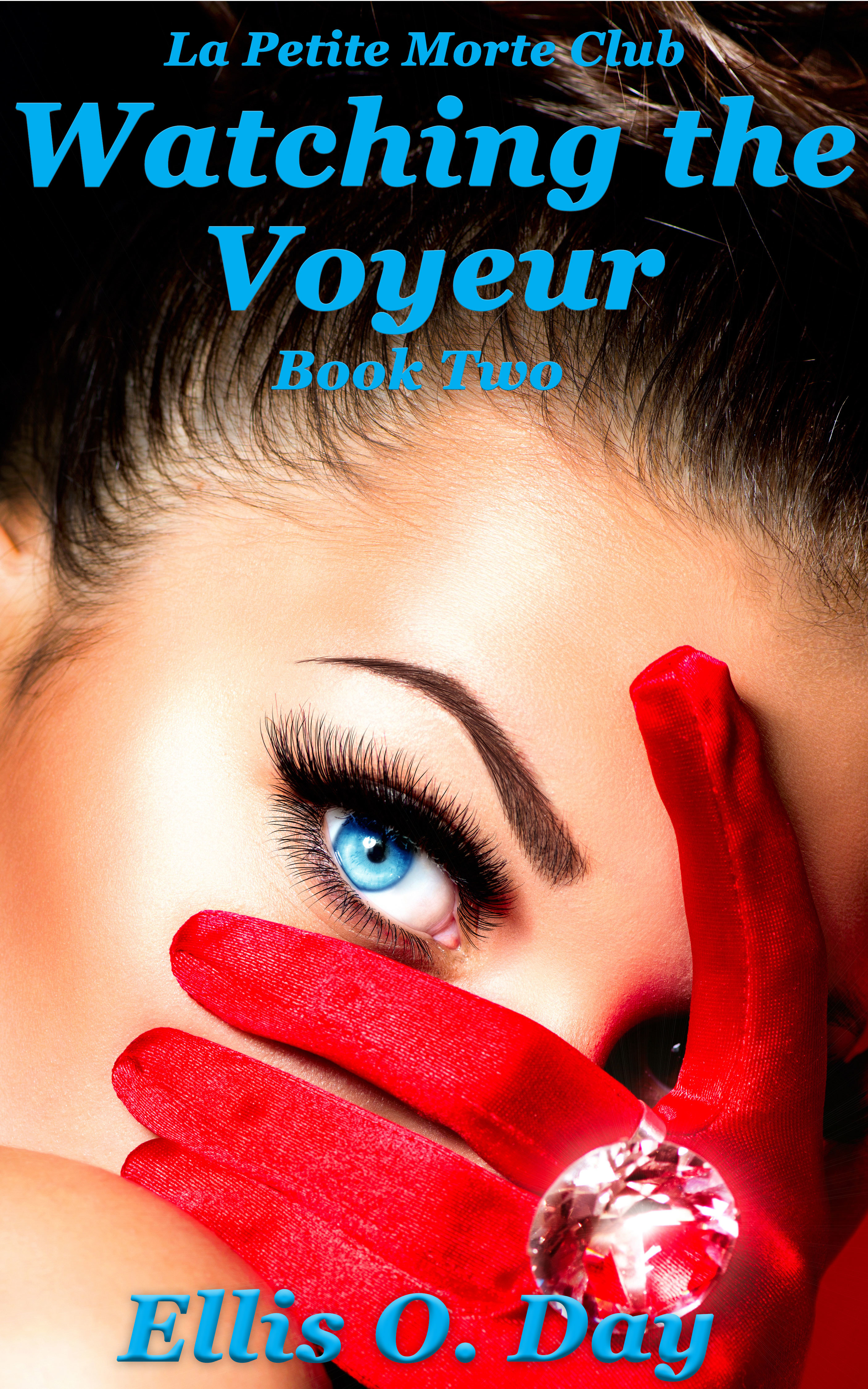 The Voyeur book cover 2