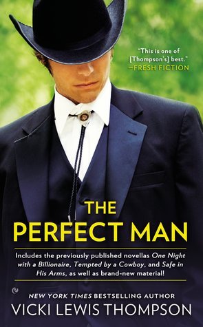 The Perfect Man book cover