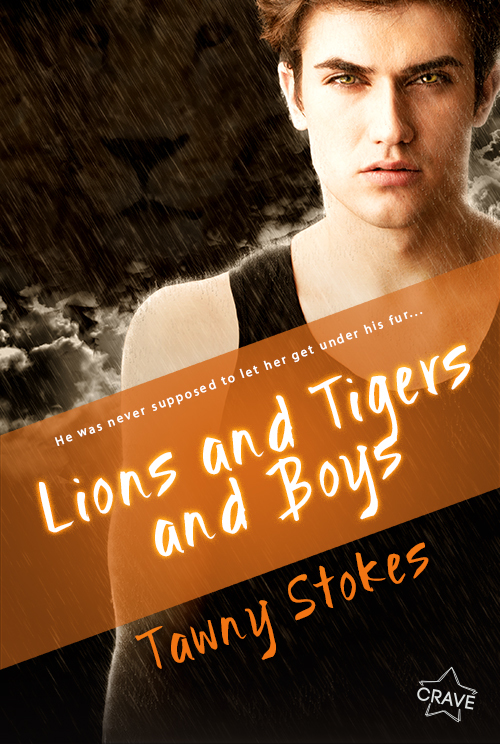 Lions and Tigers and Boys book cover
