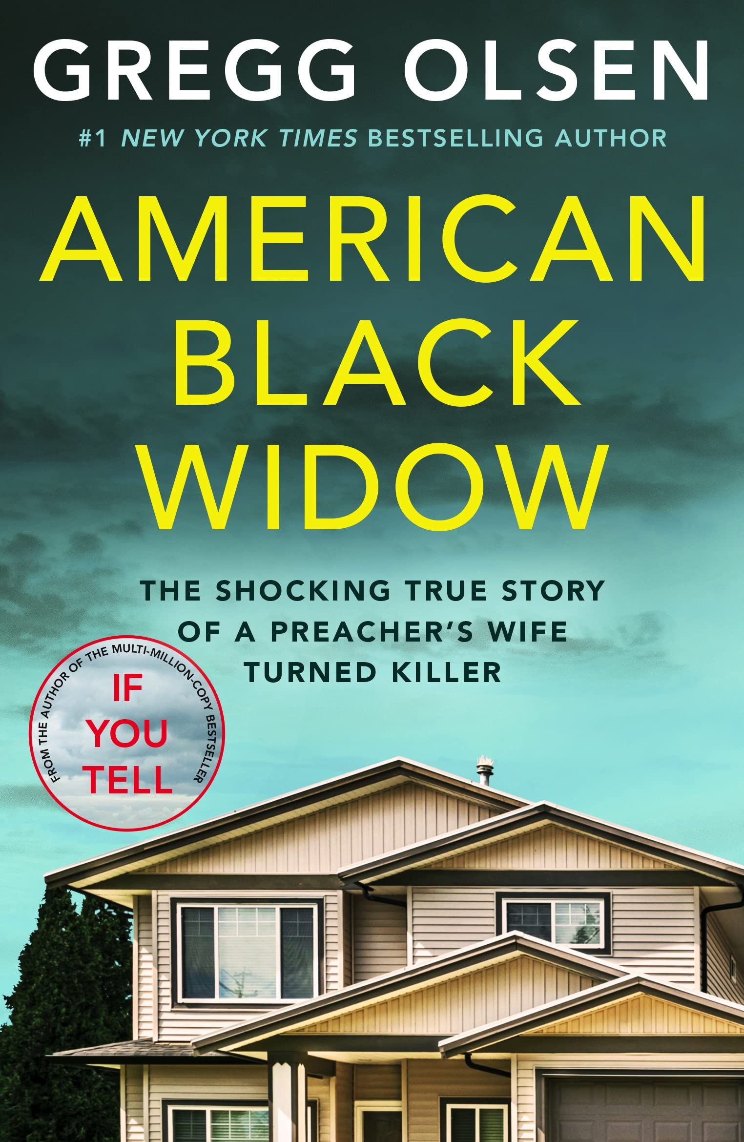 American Black Widow book cover