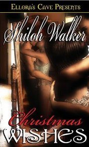 Christmas Wishes book cover