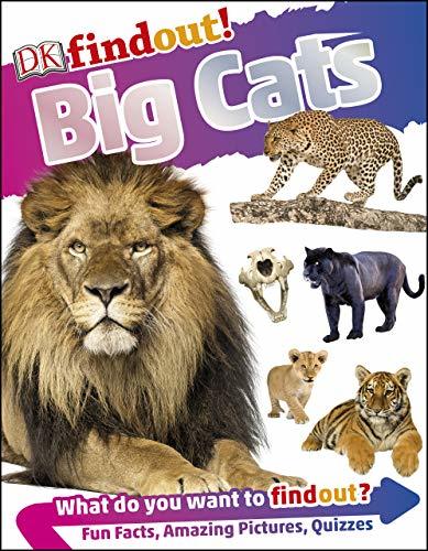 DKfindout! Big Cats book cover