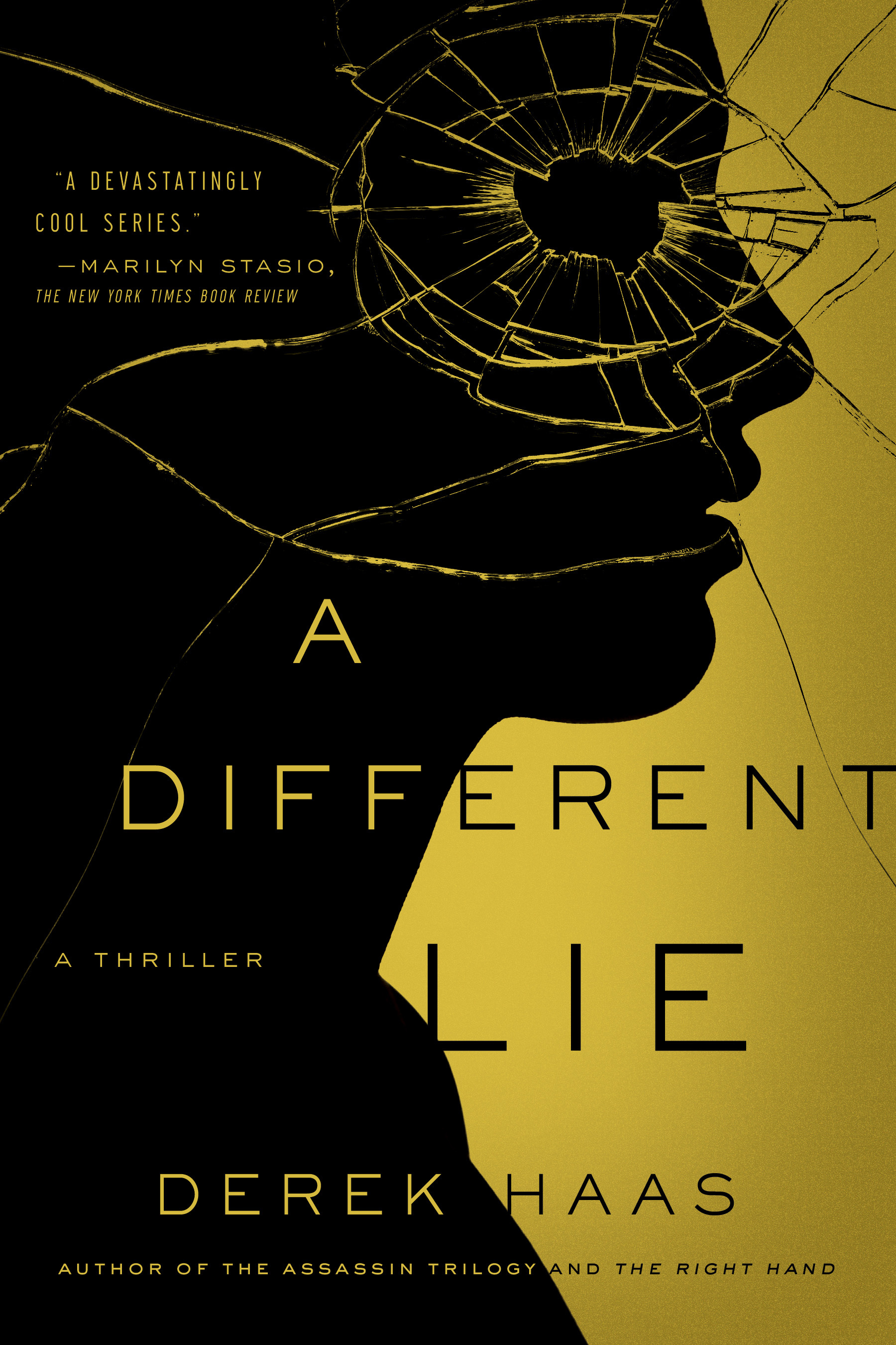 A Different Lie book cover