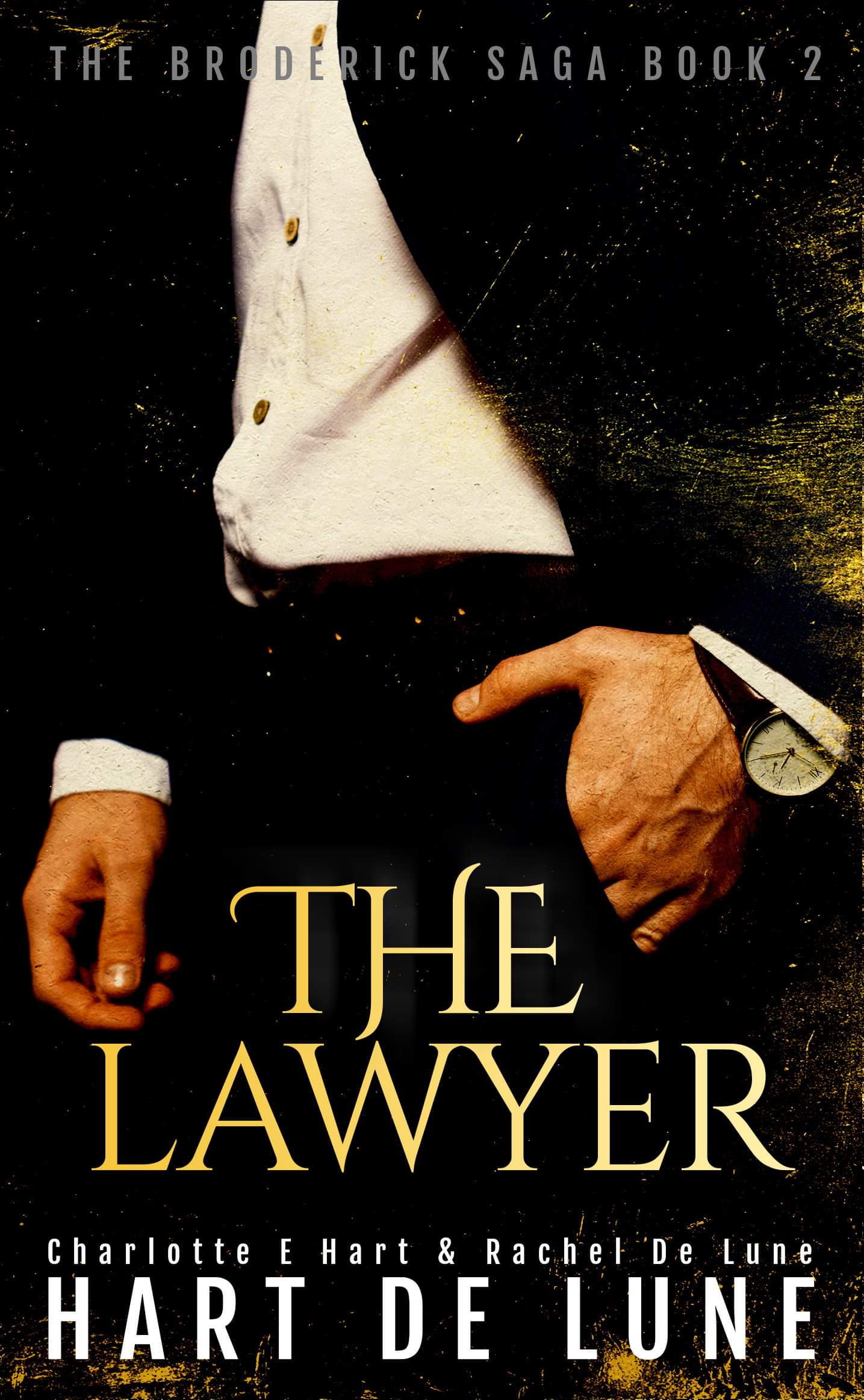 The Broderick Saga book cover 2