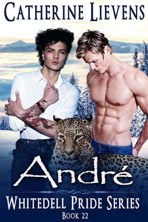 André book cover