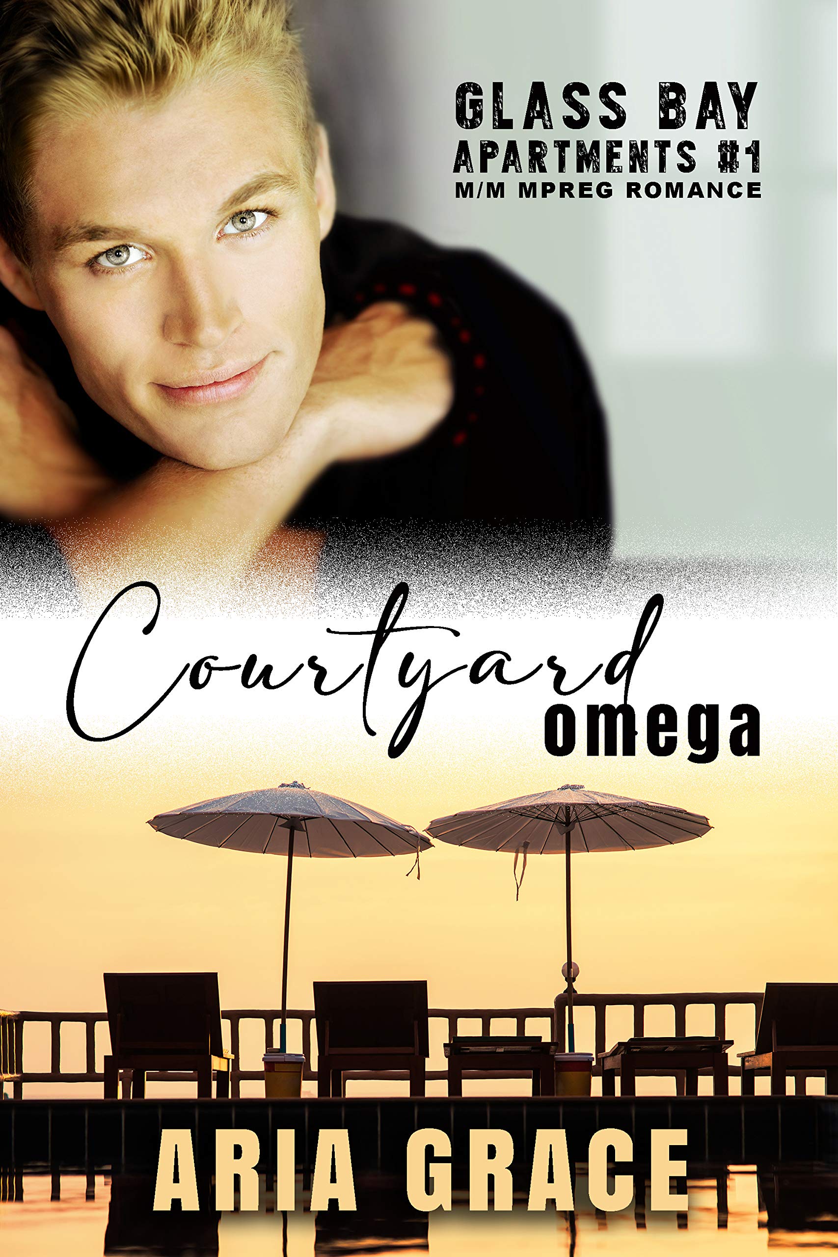 Glass Bay Apartments book cover 1