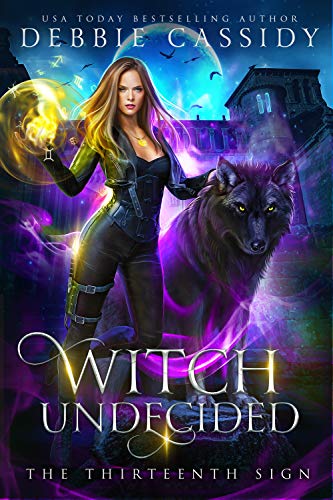 The Thirteenth Sign book cover 2