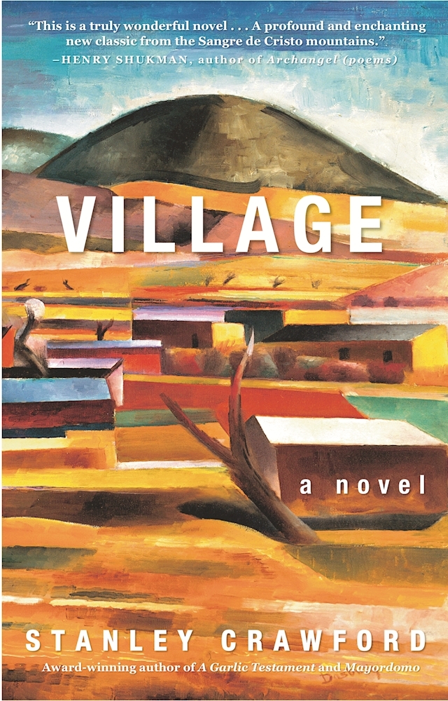 Village book cover