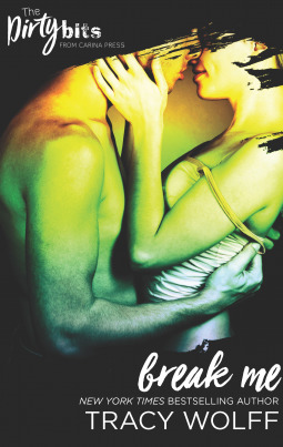 The Art of Pleasure book cover 3