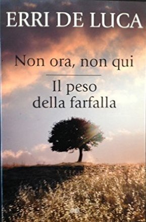 Non ora, non qui - Il peso della farfalla book cover
