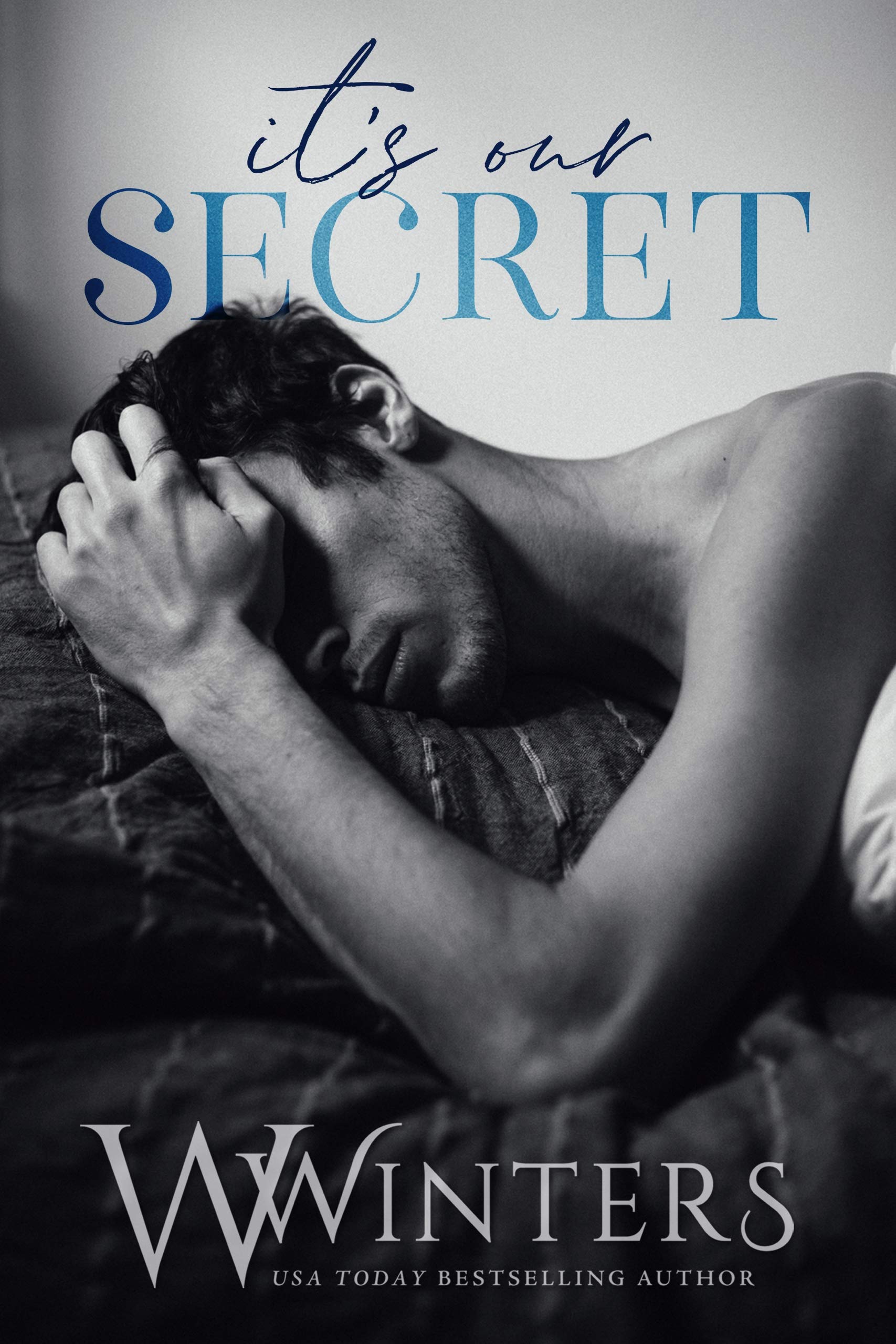 It's Our Secret book cover