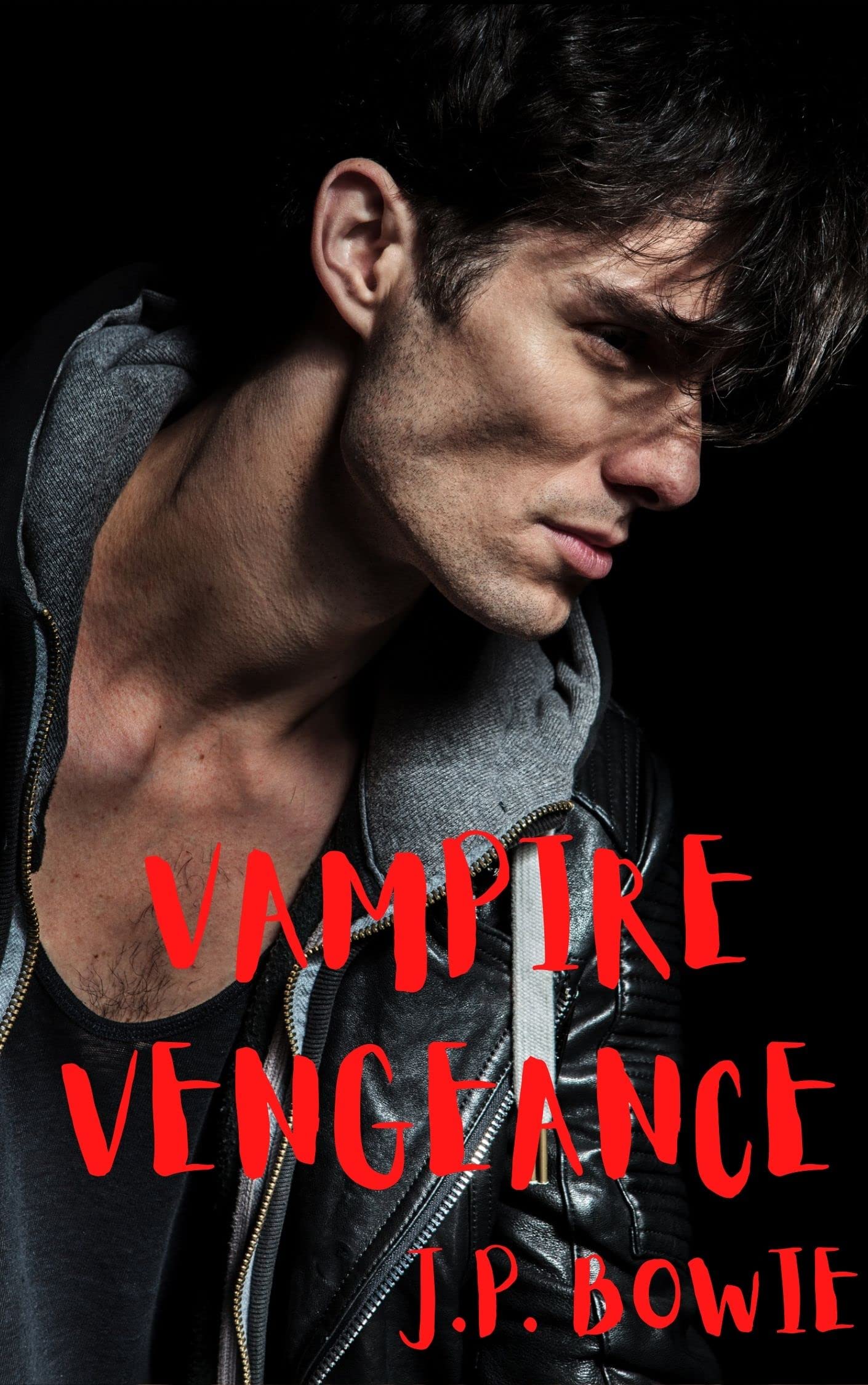 Highland Vampire Vengeance book cover
