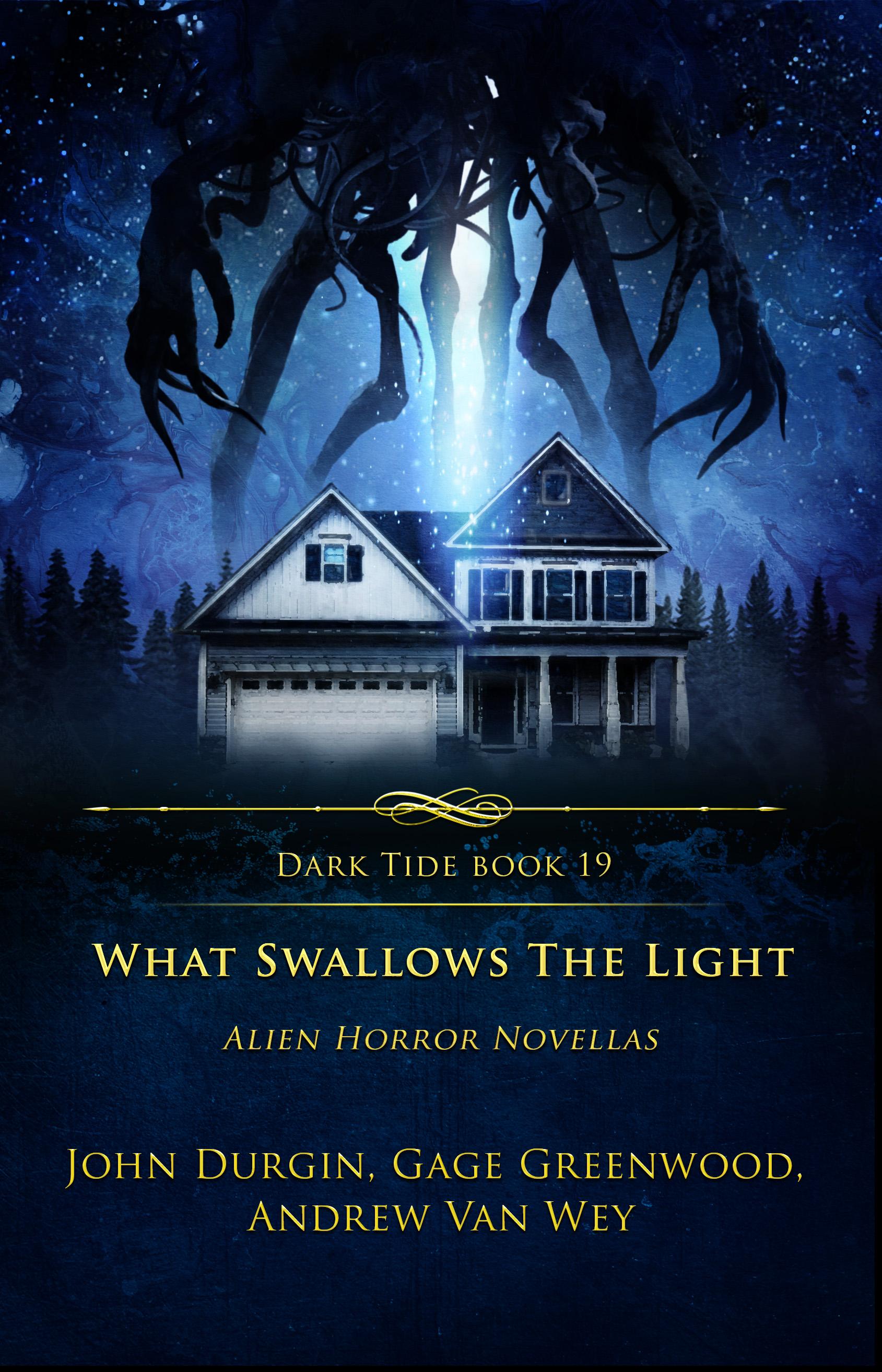 What Swallows the Light book cover