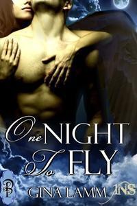 One Night to Fly book cover
