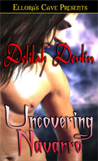 Uncovering Navarro book cover