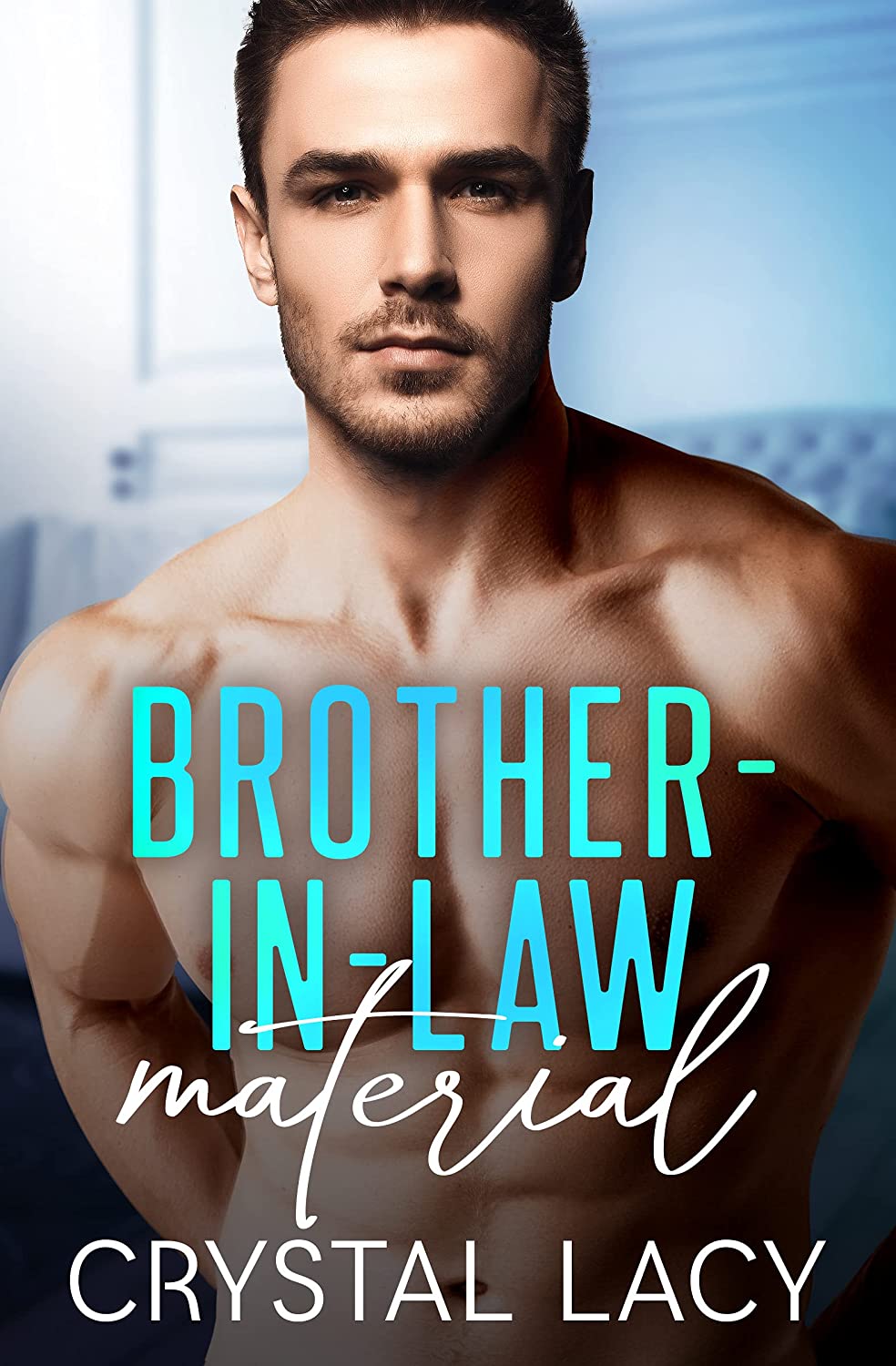 Brother-in-Law Material book cover