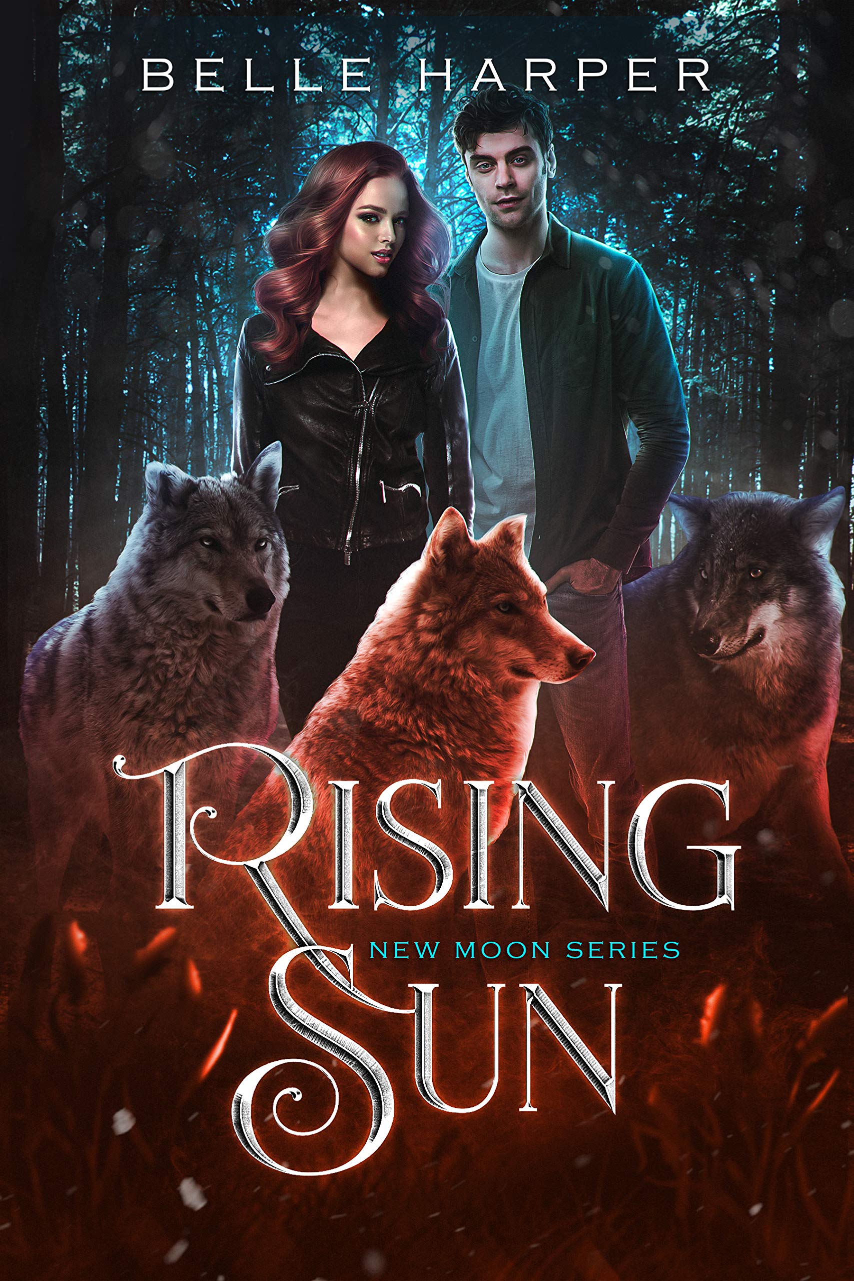 New Moon book cover 3