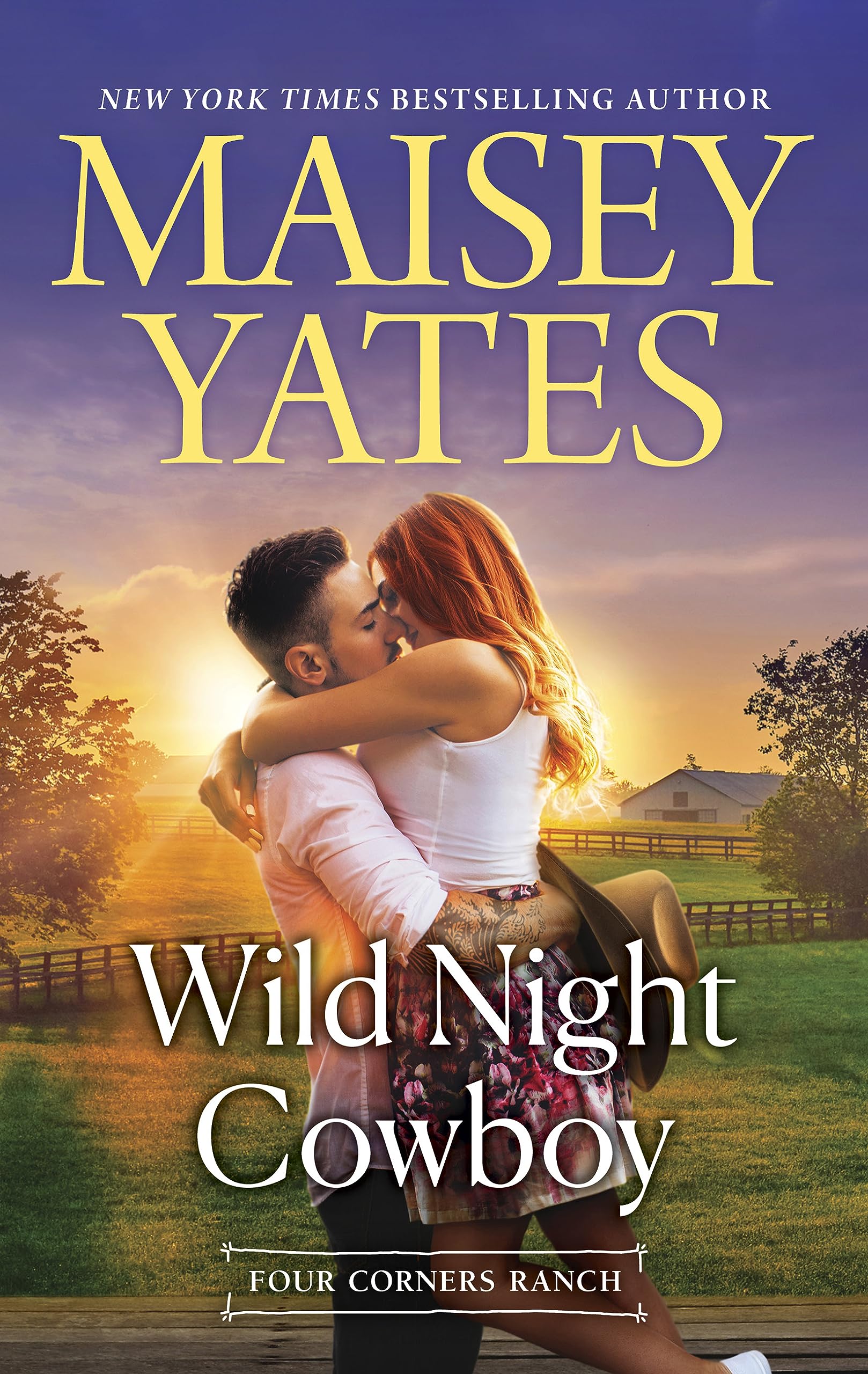 Wild Night Cowboy book cover