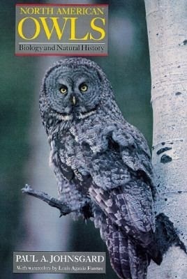 North American Owls book cover