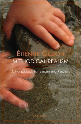 Methodical Realism book cover