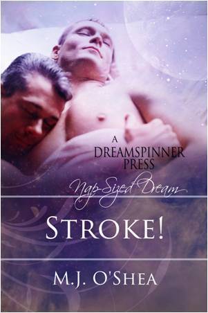 Stroke! book cover