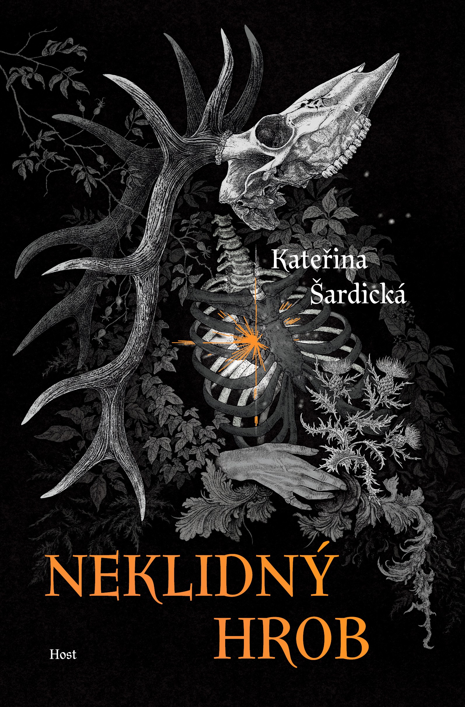 Neklidný hrob book cover