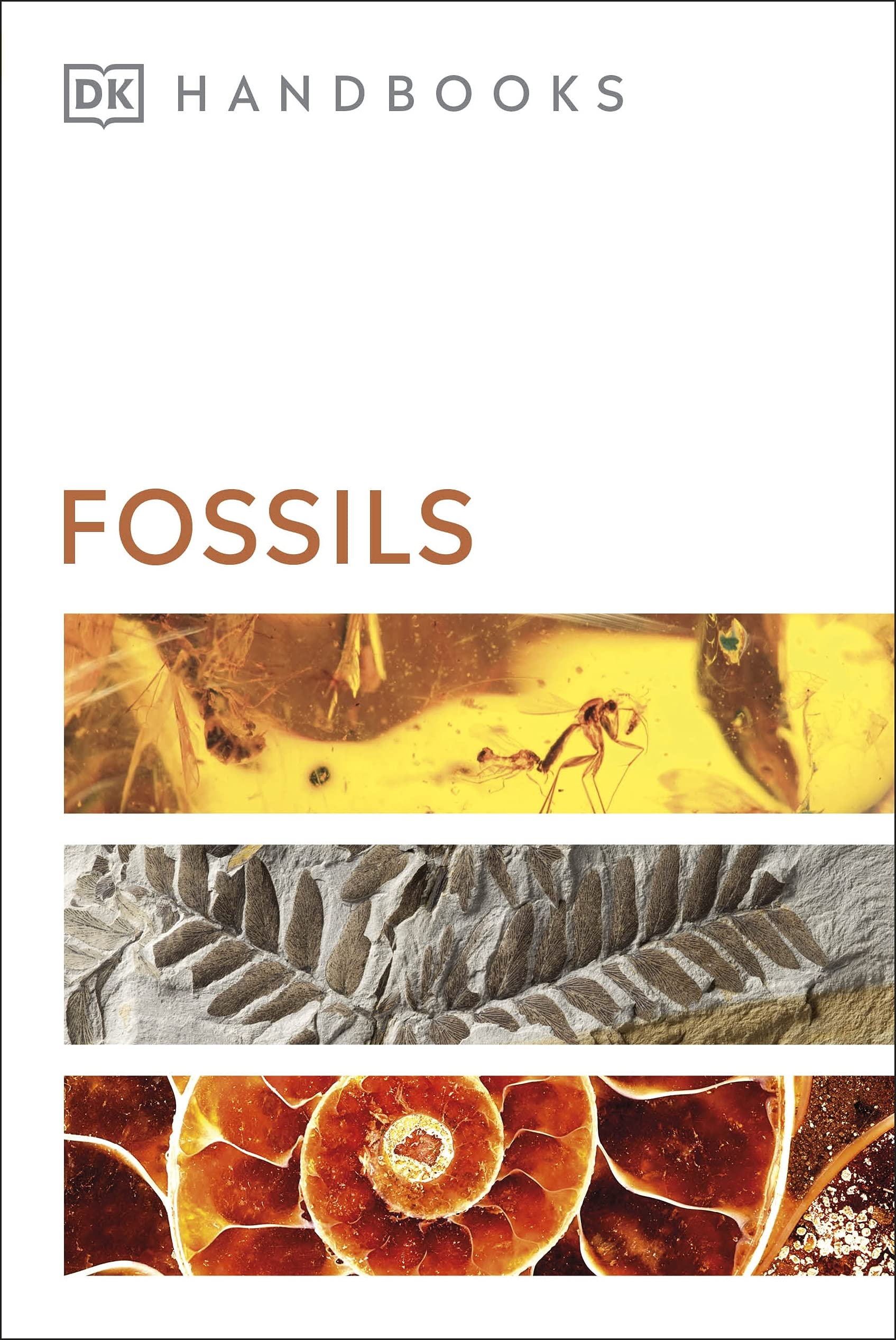 Fossils book cover