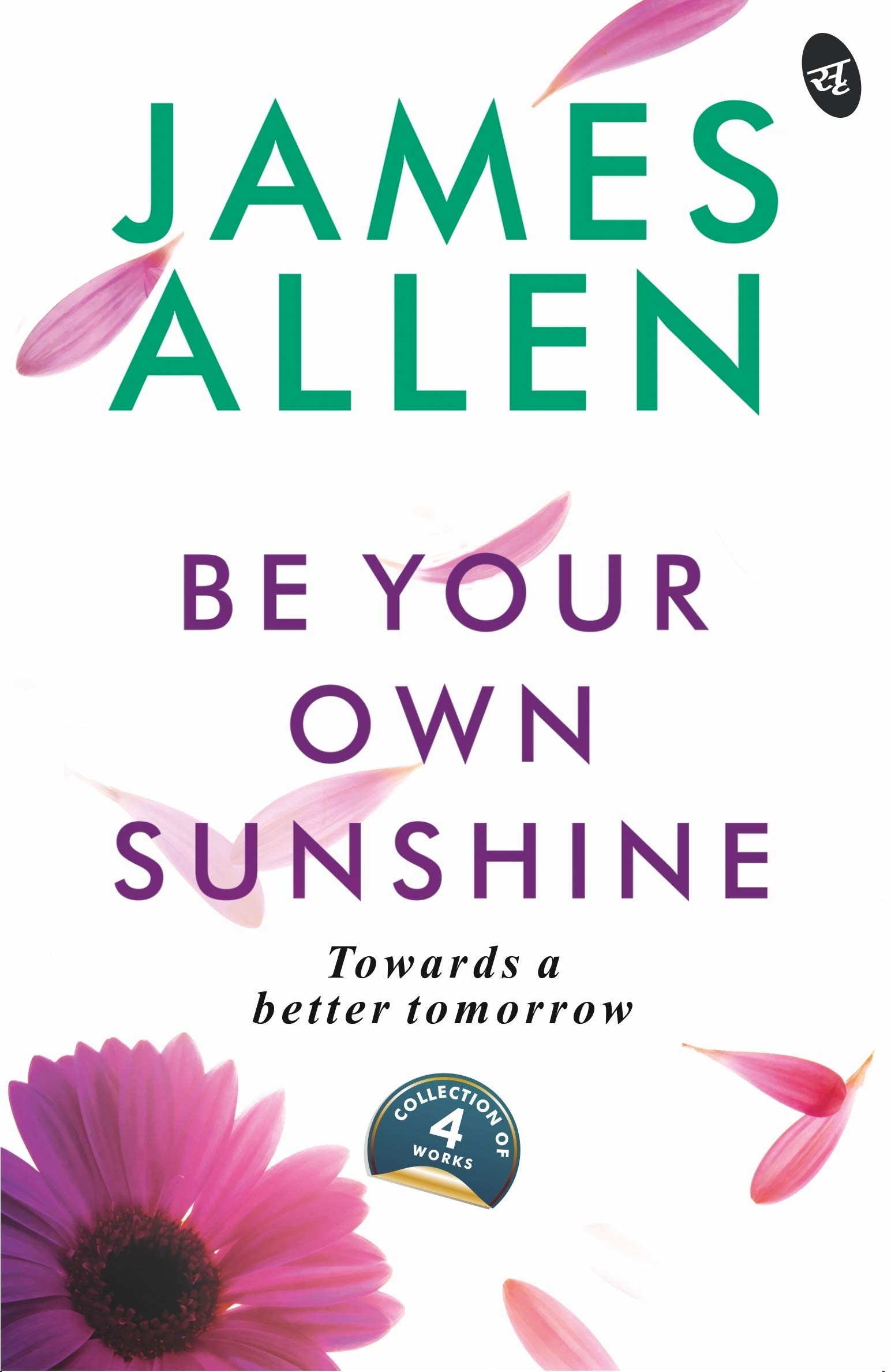 Be Your Own Sunshine book cover