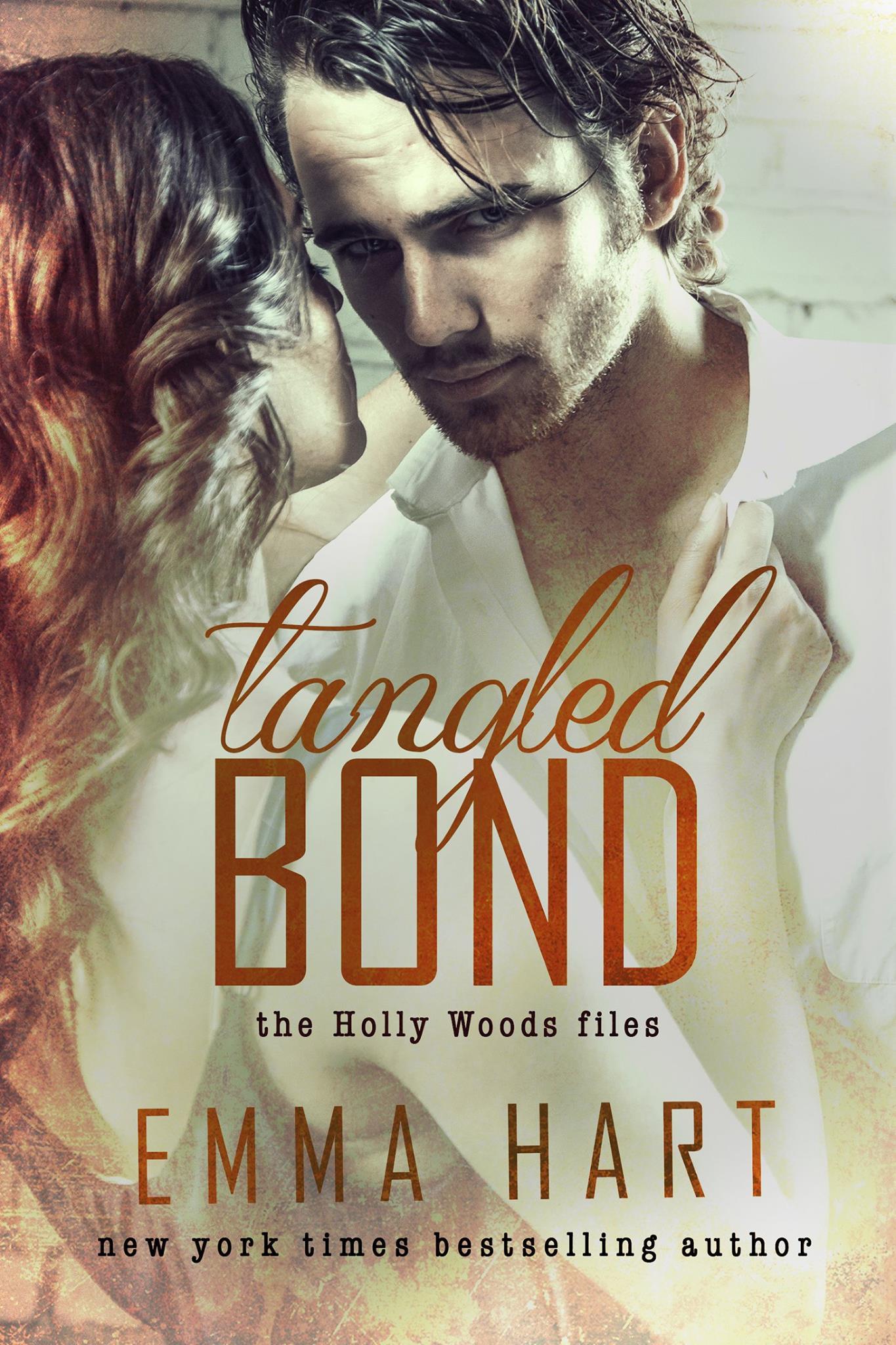 Holly Woods Files book cover 2