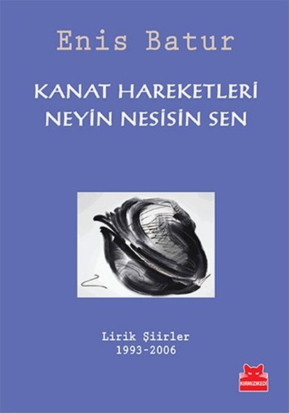 Kanat Hareketleri - Neyin Nesisin Sen book cover