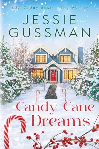 Mistletoe Meadows Sweet Christmas Romance book cover 2