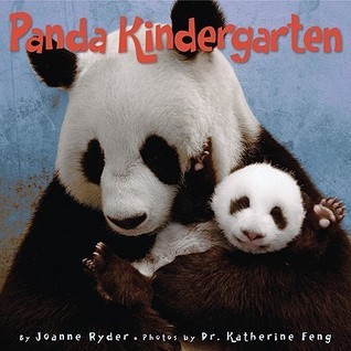 Panda Kindergarten book cover